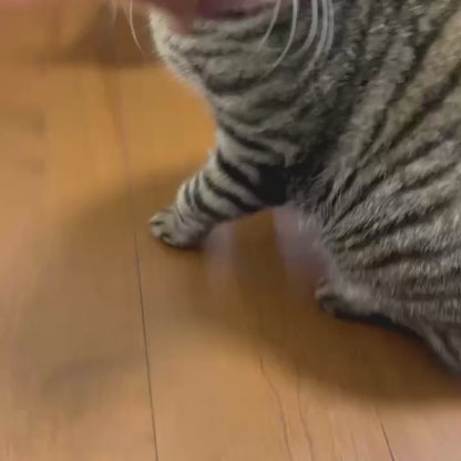 鹿肉ジャーキー